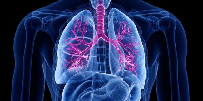 什么是慢性阻塞性肺病 (Chronic Obstructive Pulmonary Disease)，為何與新冠疫情有關？